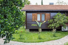 Tatil Evi Dilek Çıralı