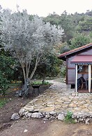 Tatil Evi Dilek Çıralı