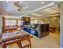 hotel sainison manali