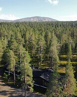Arctic Verge