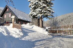 Villa in Horni Marsov With Finnish Sauna