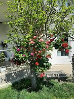 Garden House