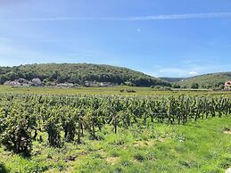 Hotel Les Deux Chevres Gevrey-Chambertin