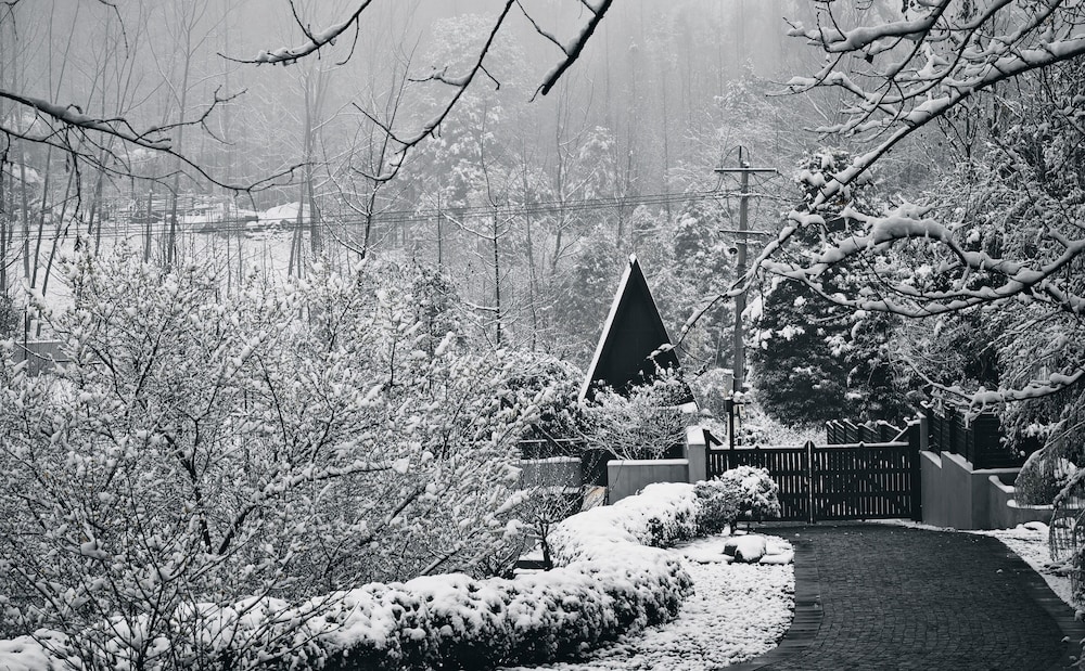 Qingcheng Mount SuXi Qingshan Forest Hotel