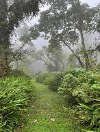 Boscana Forest Resort & Residence