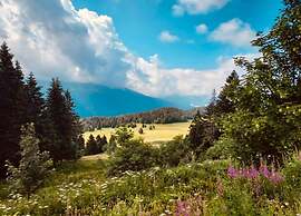 Alpine Apartment in Chamrousse