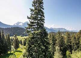Mountain Escape for 4 Guests
