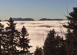 Peaceful Stay With Mountain View