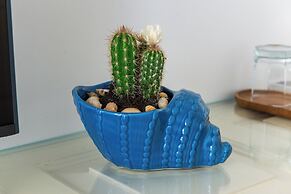Casa Chicchella