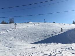 Villa in Bedrichov Near ski Resort