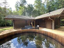 Spacious Chalet in La Bresse