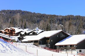 Apartment in Morillon Near Ski Slope