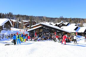 Apartment in Morillon Near Ski Slope