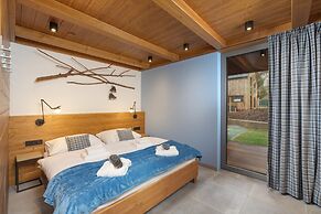 Villa in Cerny Dul Near Ski Slope