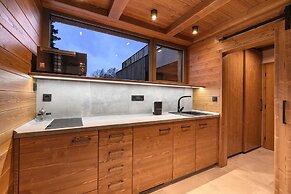 Villa in Cerny Dul Near Ski Slope