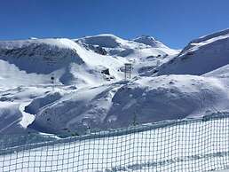 Alpine Stay Near Ski Slopes