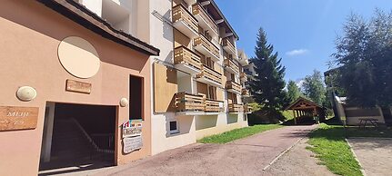 Alpine Stay Near Ski Slopes