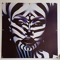 ZEBRA RESIDENCE