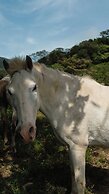 Finca Aquarius