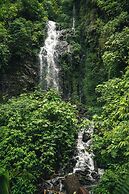 Finca Aquarius
