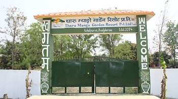 Tharu Mango Garden Resort
