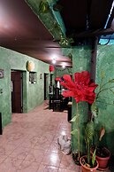 Wonderland Hostel