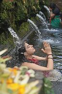 Swaha Retreat & Eco Park Ubud