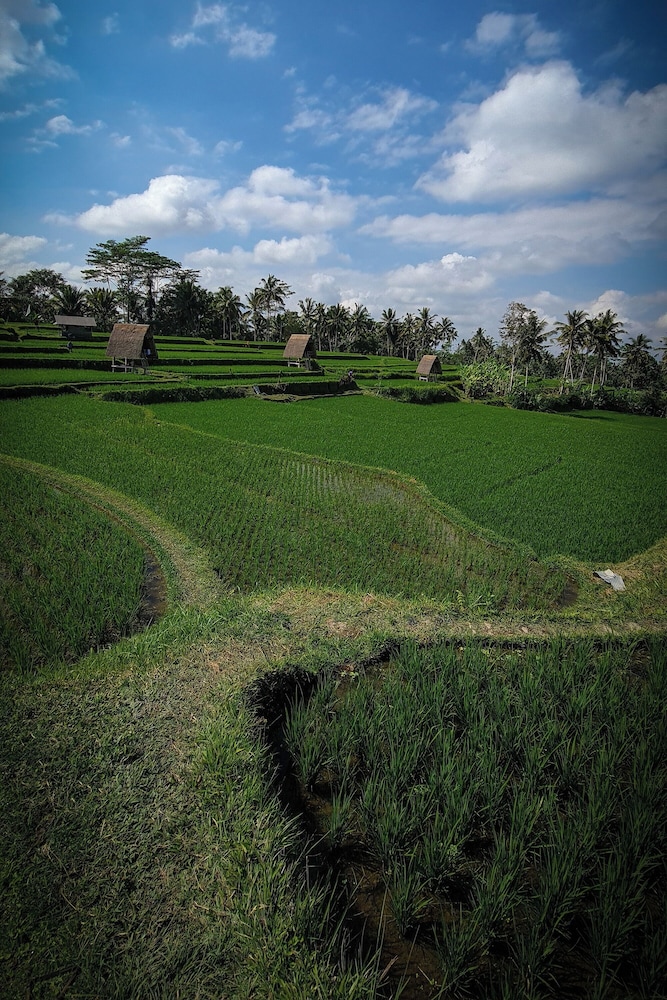 Swaha Retreat & Eco Park Ubud