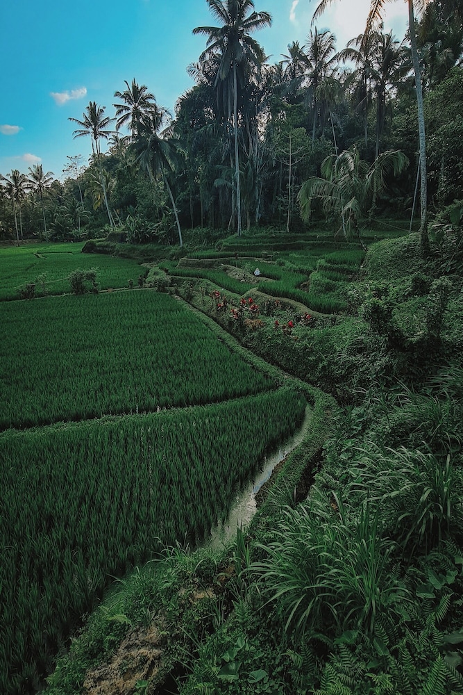 Swaha Retreat & Eco Park Ubud