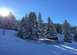 Studio in Doucy With Mountain Views