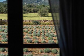 Finca Son Pieras