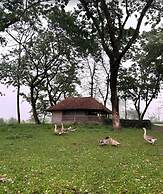 Dhansiri Eco Camp By GRB