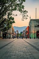 Hostal Alixel Oaxaca