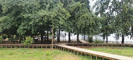Colchagua Tiny Lodge