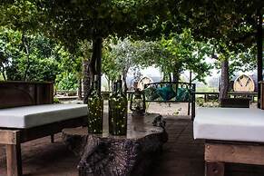 Colchagua Tiny Lodge