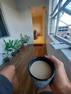 Bula Bliss
