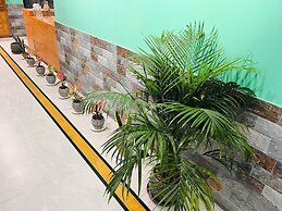 Hotel Palampur Life