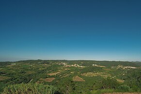 Casas da Tia Alice
