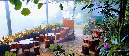 THE KODAI HAVEN