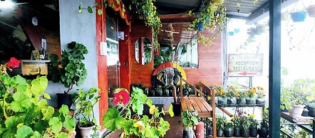 THE KODAI HAVEN