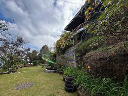 THE KODAI HAVEN