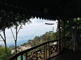 THE KODAI HAVEN
