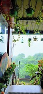 THE KODAI HAVEN