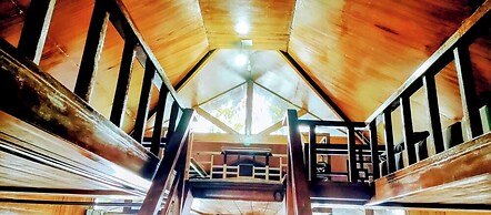 THE KODAI HAVEN