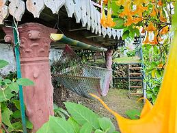 THE KODAI HAVEN