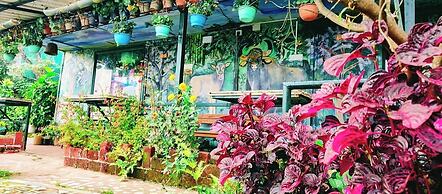 THE KODAI HAVEN