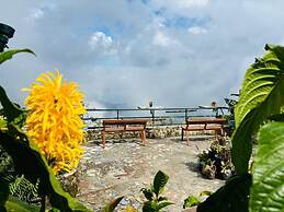 THE KODAI HAVEN