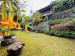 THE KODAI HAVEN