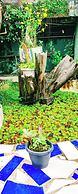THE KODAI HAVEN