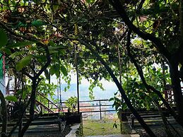 THE KODAI HAVEN